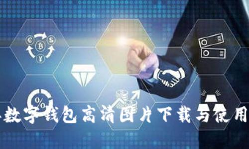 兔年数字钱包高清图片下载与使用指南