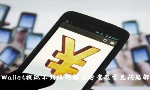 TPWallet提现不到账的解决方案及常见问题解答
