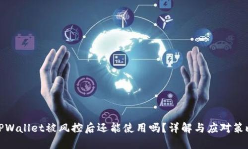 TPWallet被风控后还能使用吗？详解与应对策略