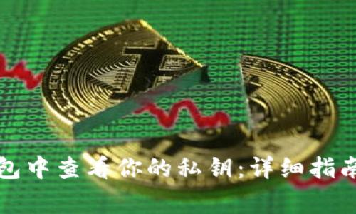 如何在TP钱包中查看你的私钥：详细指南与注意事项