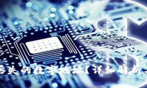 如何找回丢失的数字地址？详细解析与步骤指南
